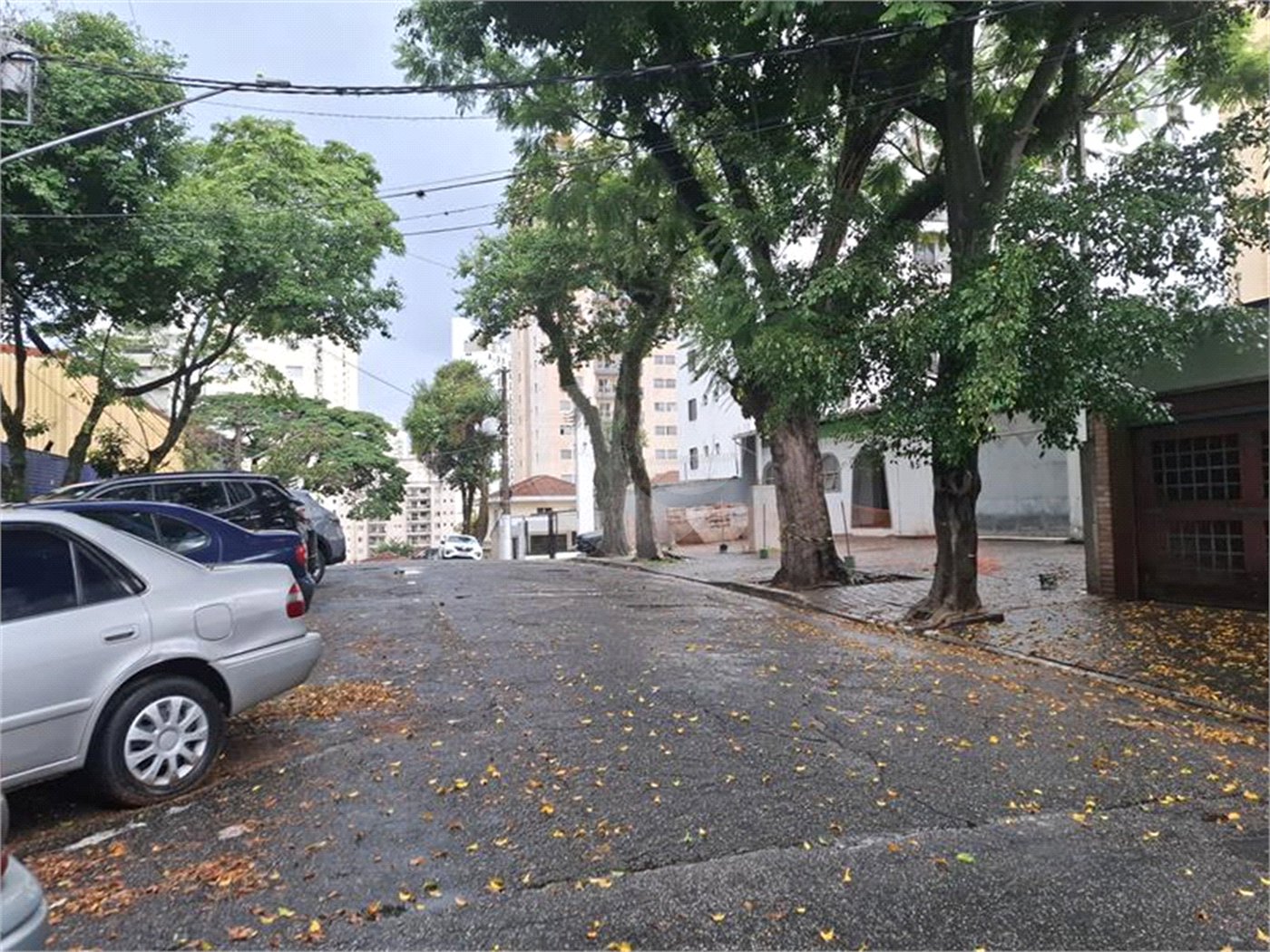 Apartamento à venda com 1 quarto em Santana, São Paulo, SP