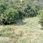 Terreno à venda em Observatório, Vinhedo, SP