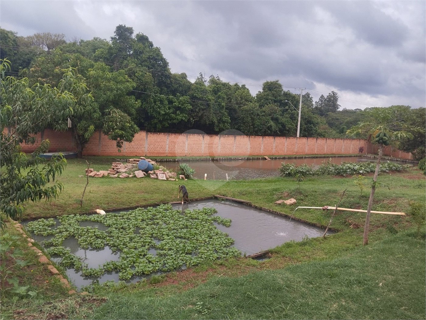 Chácara à venda com 3 quartos, sendo 1 suíte, em Chácara Flora Araraquara, Araraquara, SP