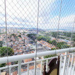 Apartamento à venda com 3 quartos, sendo 1 suíte, em Jardim Esmeralda, São Paulo - SP