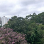 Apartamento à venda com 3 suítes em Vila Andrade, São Paulo, SP