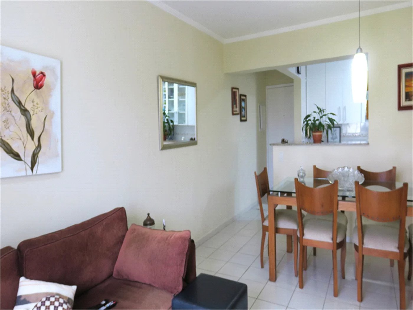 Apartamento à venda com 2 quartos, sendo 1 suíte, em Vila Suzana, São Paulo, SP