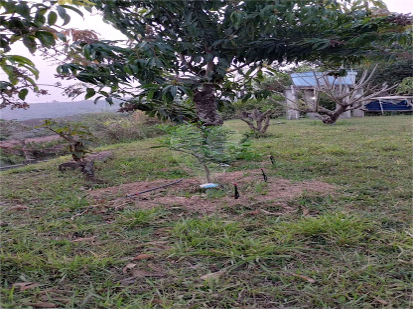 Chácara à venda em Mombaça, São Roque, SP