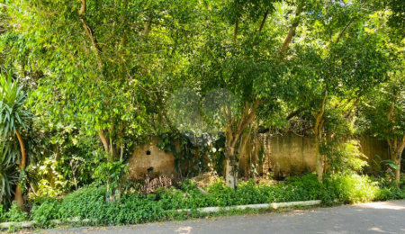 Terreno à venda em Interlagos, São Paulo, SP