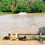 Casa à venda com 5 quartos, sendo 4 suítes, em Transurb, Itapevi, SP