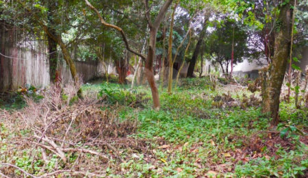 Terreno à venda em Alto da Boa Vista, São Paulo, SP