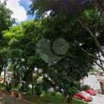 Terreno à venda em Vila Gustavo, São Paulo, SP
