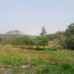 Terreno à venda em Abadia, Louveira, SP