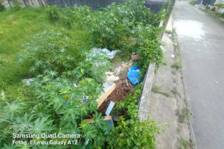 Terreno à venda em Vila Oliveira, Mogi das Cruzes, SP