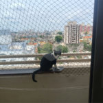Apartamento à venda com 2 quartos em Imirim, São Paulo, SP