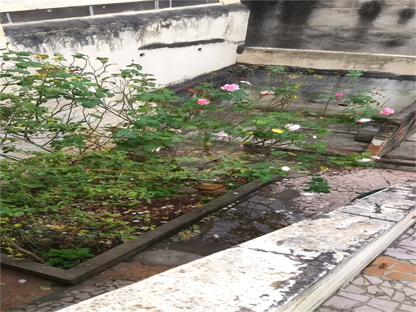 Sobrado à venda com 3 quartos em Santana, São Paulo, SP