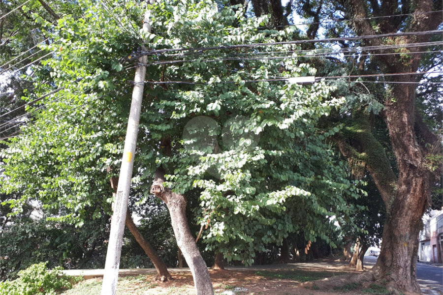 Terreno à venda em Vila Isolina Mazzei, São Paulo, SP