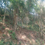 Terreno à venda em Serra da Cantareira, Mairiporã, SP