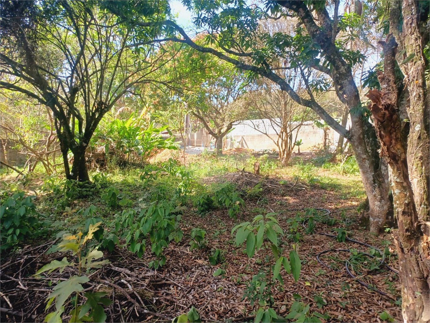 Terreno à venda em Luiz Fagundes, Mairiporã, SP