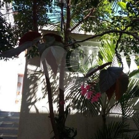 Sobrado à venda com 3 suítes em Chora Menino, São Paulo, SP