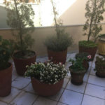 Casa à venda com 5 quartos, sendo 4 suítes, no condomínio Jardim Vitória Régia, São Paulo - SP
