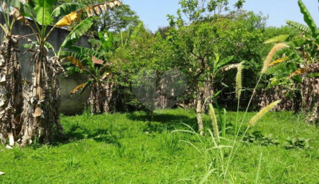 Terreno à venda em Horto Florestal, São Paulo, SP