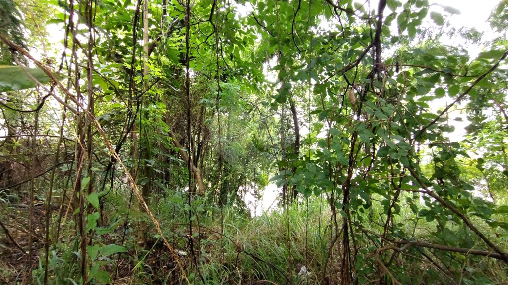 Terreno à venda em Vila Suzana, São Paulo, SP
