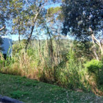 Terreno à venda no condomínio Alpes da Cantareira, Mairiporã - SP