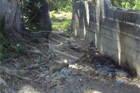 Chácara à venda com 1 quarto em Cruz das Almas, Biritiba-mirim, SP