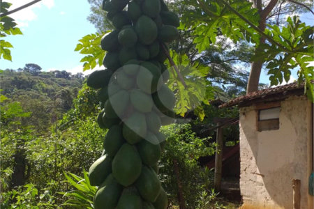 Sítio à venda com 2 quartos no Centro, Descalvado, SP