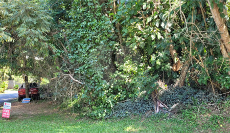 Terreno à venda em Serra da Cantareira, Mairiporã, SP