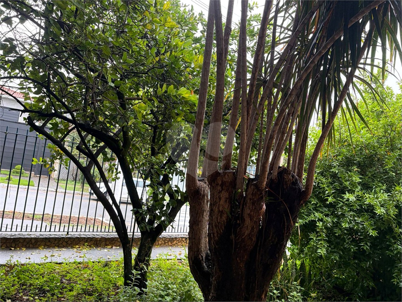 Casa à venda com 3 quartos em Bela Aliança, São Paulo, SP