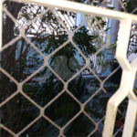 Casa à venda com 3 quartos em Parque Edu Chaves, São Paulo, SP