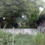 Sobrado à venda com 3 quartos em Parada Inglesa, São Paulo, SP