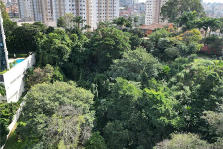 Terreno à venda em Paraisópolis, São Paulo, SP