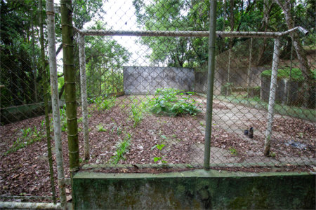 Chácara à venda com 4 quartos, sendo 2 suítes, em Vila Santa Rita, São Roque, SP
