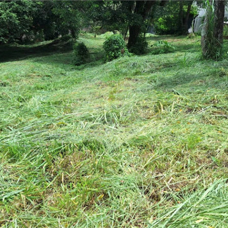 Terreno à venda em Marambaia, Vinhedo, SP