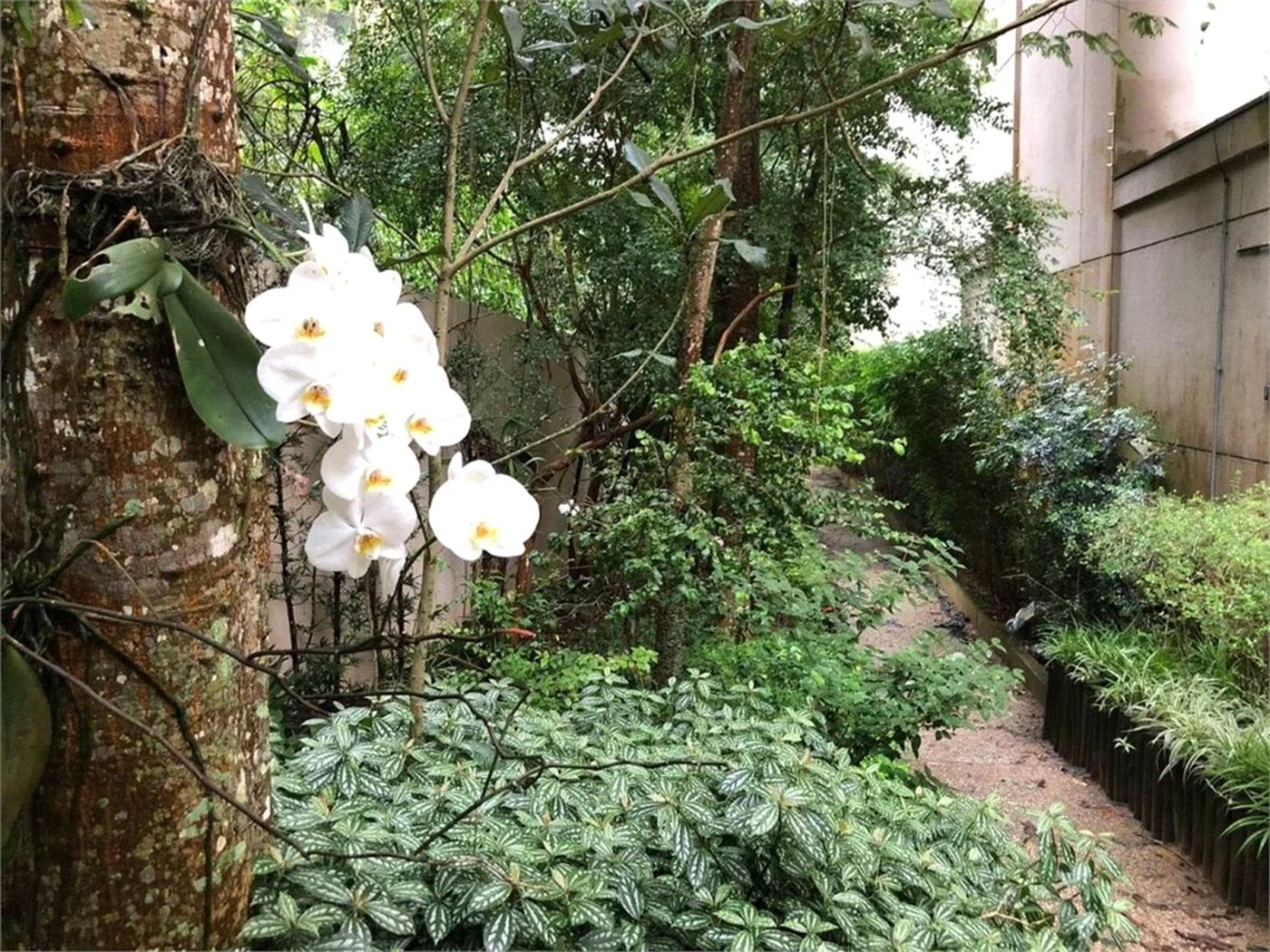 Apartamento à venda com 3 quartos, sendo 1 suíte, em Jardim Ampliação, São Paulo, SP