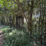 Terreno à venda em Serra da Cantareira, Mairiporã, SP