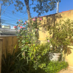 Casa à venda com 3 quartos em Socorro, São Paulo, SP