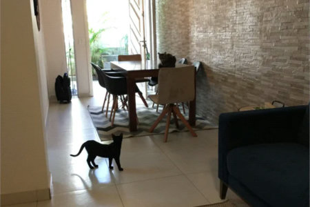 Sobrado à venda com 3 quartos, sendo 1 suíte, em Vila Ipojuca, São Paulo, SP