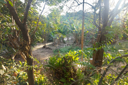 Terreno à venda em Santa Claudina, Vinhedo, SP