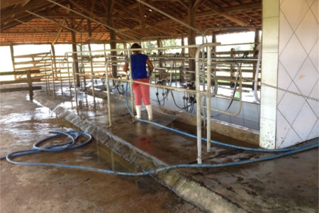 Fazenda à venda com 2 quartos em Canabrava, João Pinheiro, MG