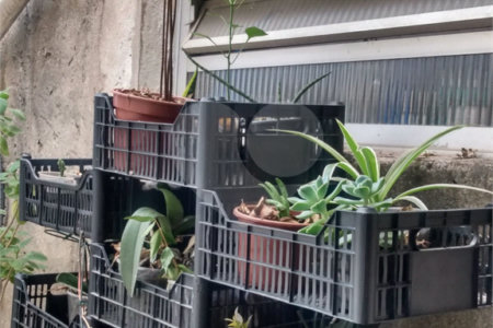 Casa à venda com 1 quarto em Vila Maria Alta, São Paulo, SP