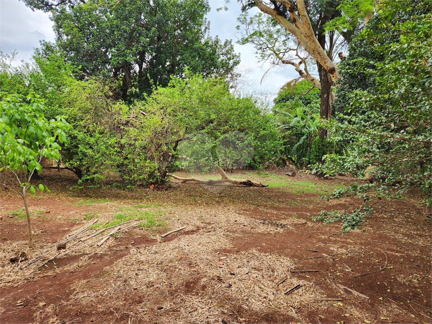 Chácara à venda com 2 quartos em Jardim Califórnia, Araraquara, SP