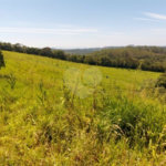 Sítio à venda com 5 quartos, sendo 1 suíte,  em Área Rural de Tapiraí, Tapiraí, SP
