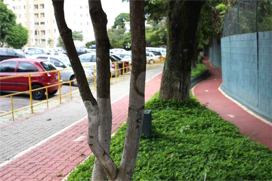 Apartamento à venda com 3 quartos em Vila Nova Cachoeirinha, São Paulo, SP