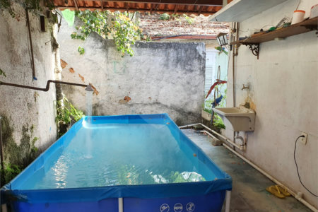 Casa à venda com 5 quartos, sendo 2 suítes,  em Rio Comprido, Rio de Janeiro, RJ