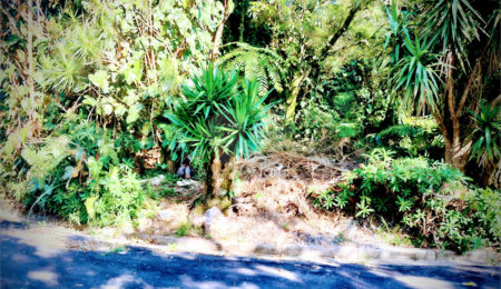 Terreno à venda em Serra da Cantareira, Mairiporã, SP