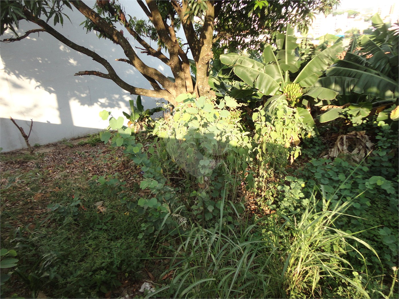 Terreno à venda em Vila São José, Valinhos, SP