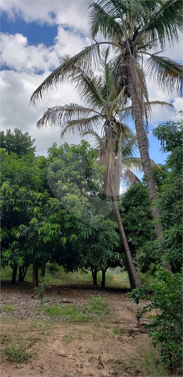 Sitio para venda.