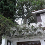 Sobrado à venda com 3 quartos, sendo 1 suíte, em Vila Albertina, São Paulo, SP