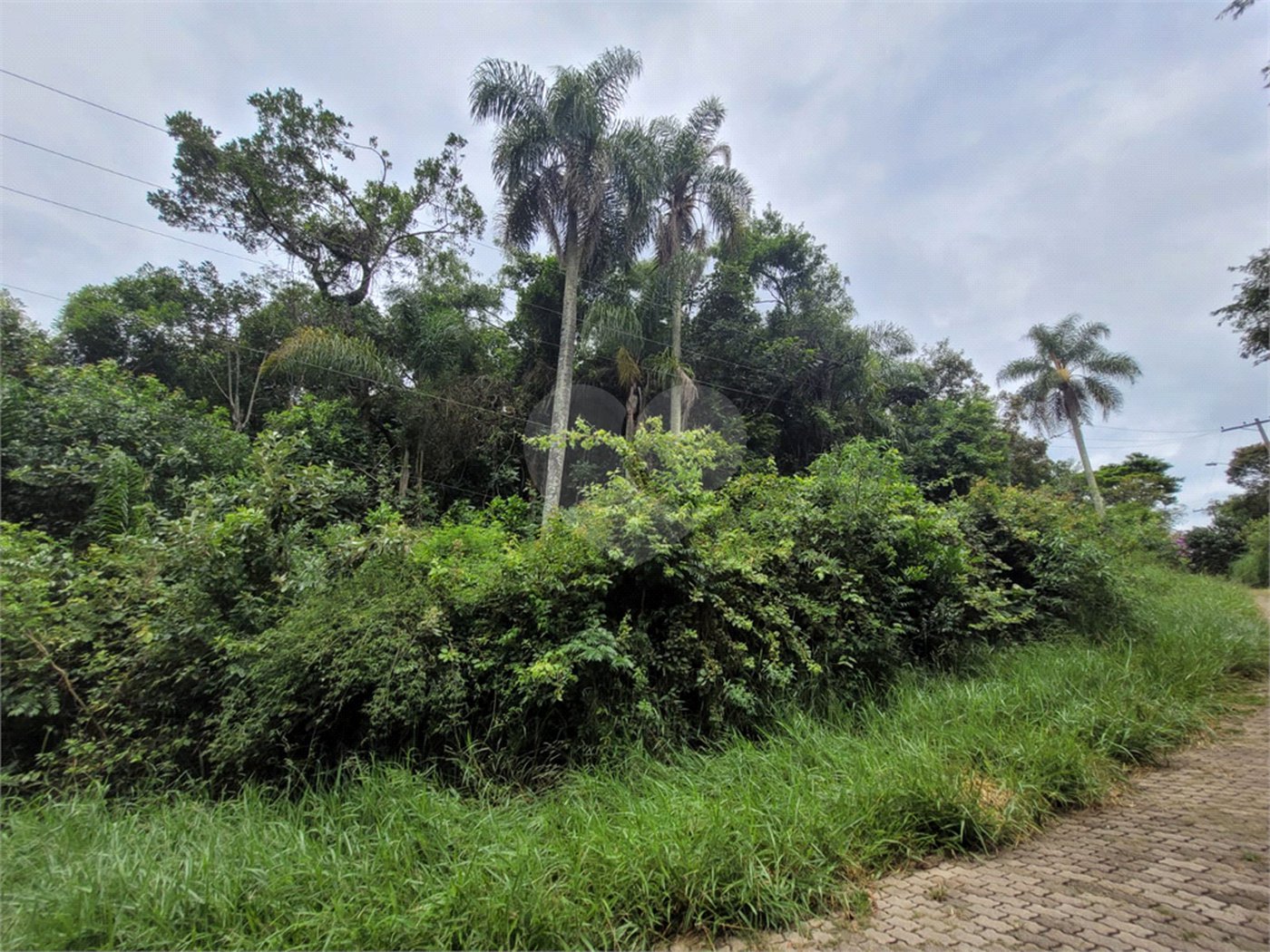 Terreno à venda em Serra da Cantareira, Mairiporã, SP