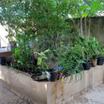 Casa à venda com 4 quartos, sendo 1 suíte, em Tremembé, São Paulo, SP