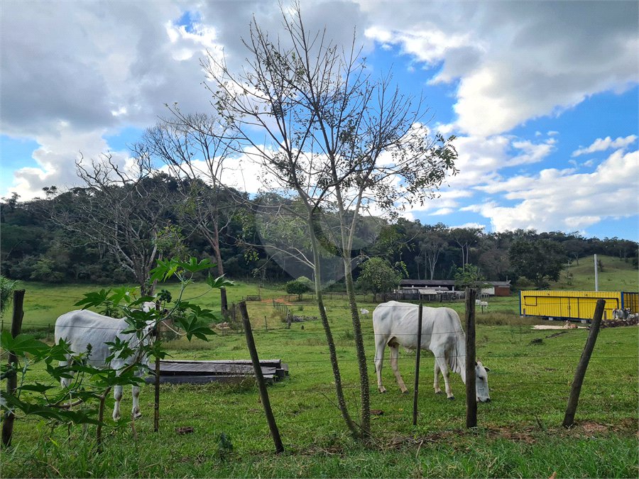 VENDA SÍTIO 48 hectares com estruura para granja, hidroponia e gado